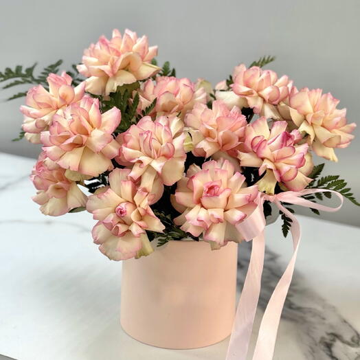 Composition ,,Esperansa