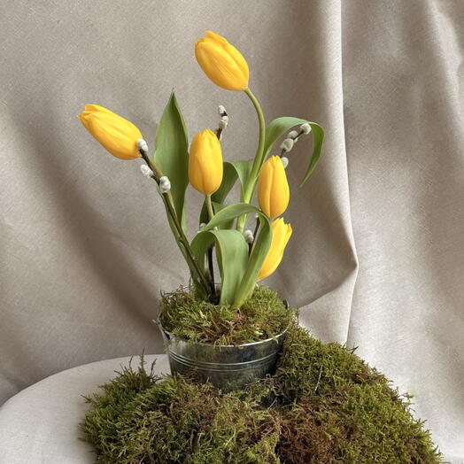 Tulips in a bucket