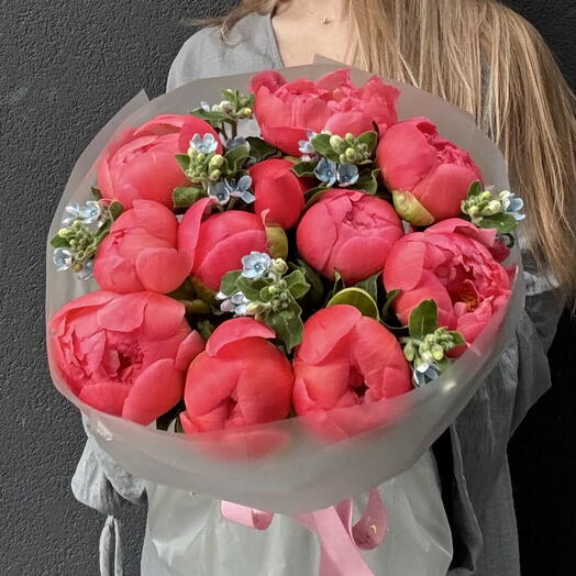 Paeonia 11 + Oxypitalum