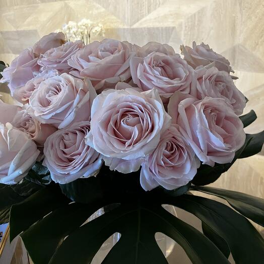 Pink  Mondial Roses