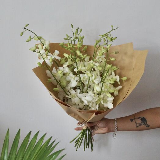 Monobouquet (Orchid)