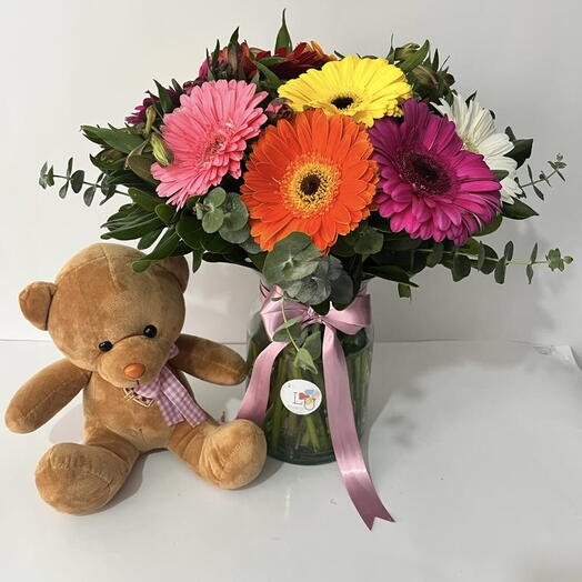 Arreglo gerberas multicolor + oso de peluche