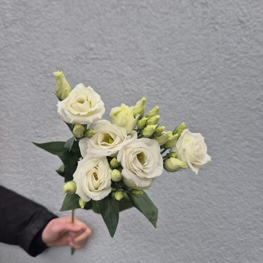 White Lisianthus Choose from 9 pieces