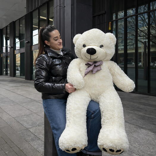Teddy bear 120 cm