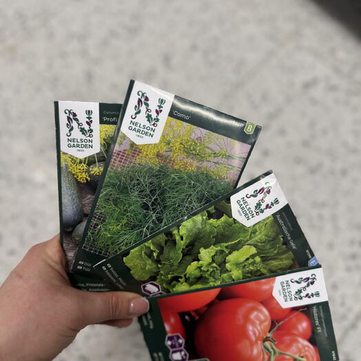 Home mini garden set🤗