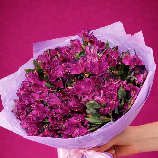 Alstromeria lila - 35