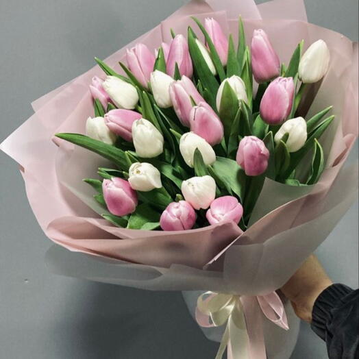 Аралас тюльпандар Жұмсақ жанасу