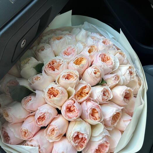 Розы David Austin Juliet 50 шт