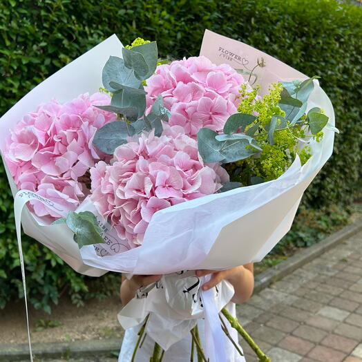 Hydrangeas 3 pcs