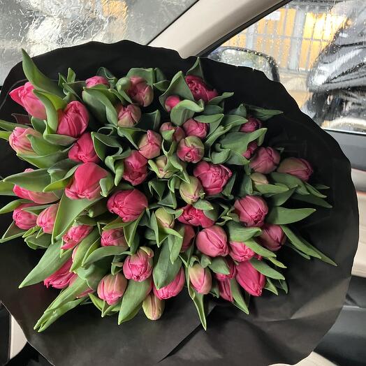 TULIPS QUEEN 30