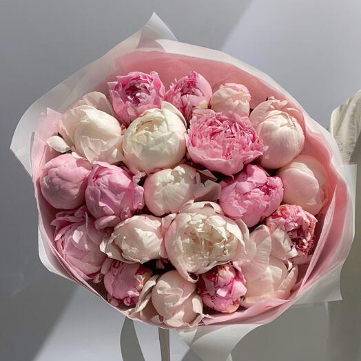 Peonie 20