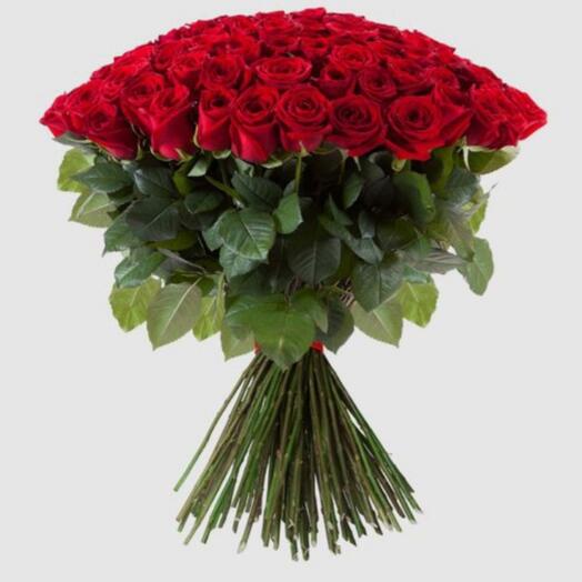 51 red equador roses (70 cm!)