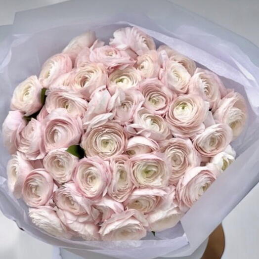 Ranunculus Clone Lsize