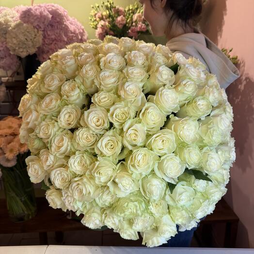 101 white roses