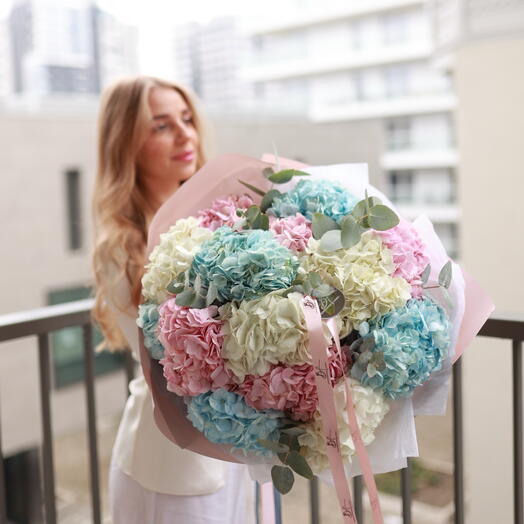 Mezcla de hortensias 💐