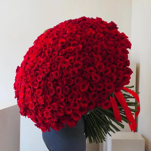 Букет из 300 красных роз