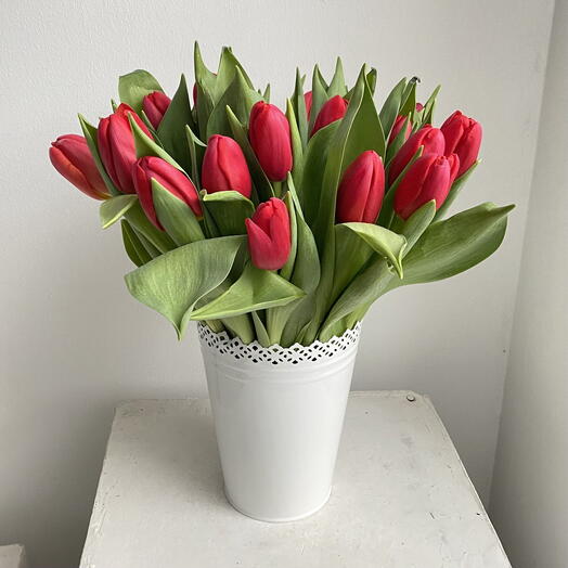 Smile 25 tulipani rossi premium in vaso