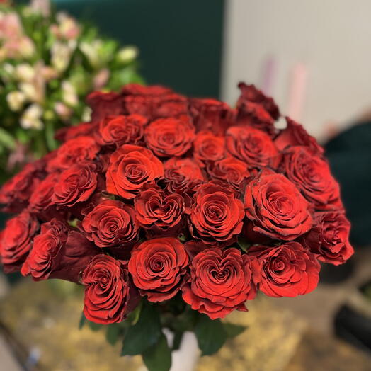 Rojo Radiante AMOR 25