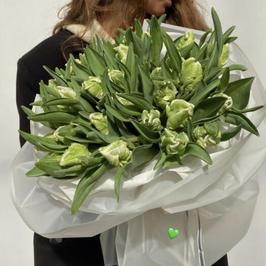 Букет 25 тюльпанов сорта Parrot