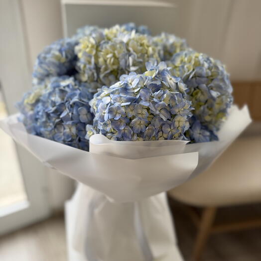 15 Light blue hydrangeas