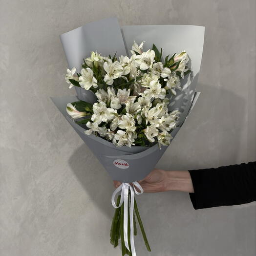 Alstroemeria white 9