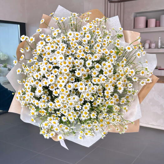 Chamomile bouquet