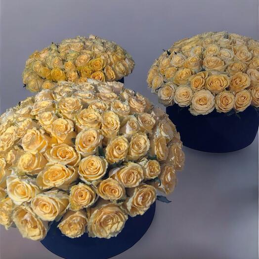 303 yellow roses