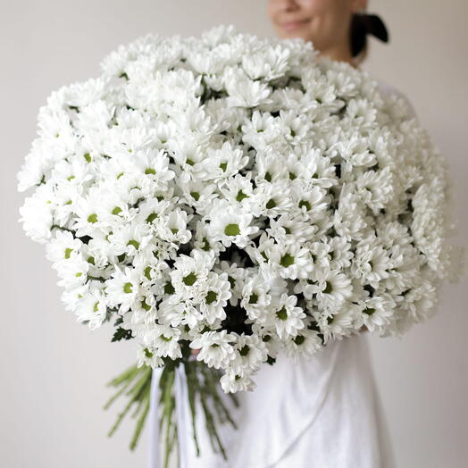 Большой букет хризантем под ленту