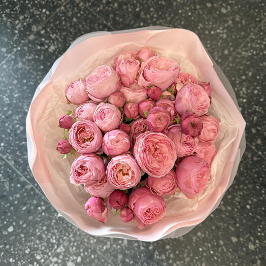 Güller şakayık gibi