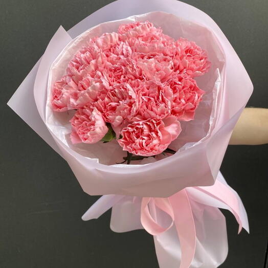 1025  Delicadeza Rosa