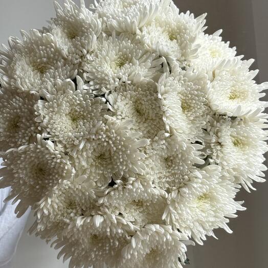 19 Chrysanthemums ( bouquet  NO 16)