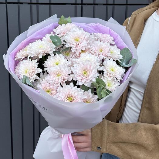 5 light pink chrysanthemums