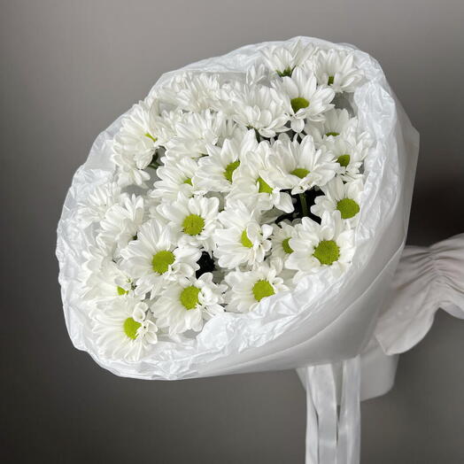 Белые Кустовые Хризантемы 5 шт