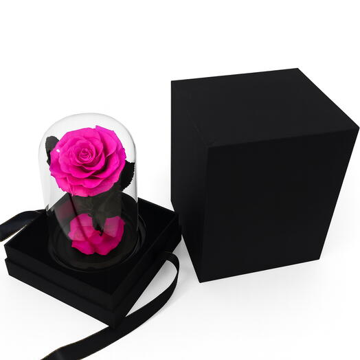 Everlasting Cyclamen Preserved Rose In A Glass Dome