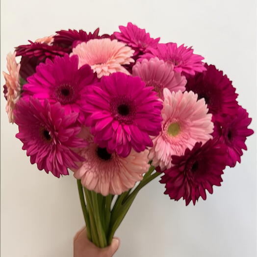 Bouquet of colorful Gerbera
