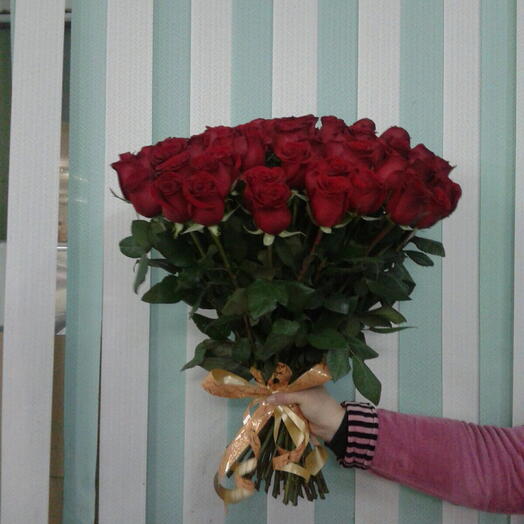 Scarlet Serenade Roses