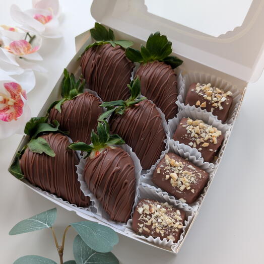 Conjunto de chocolate: morangos e marshmallows cobertos com chocolate