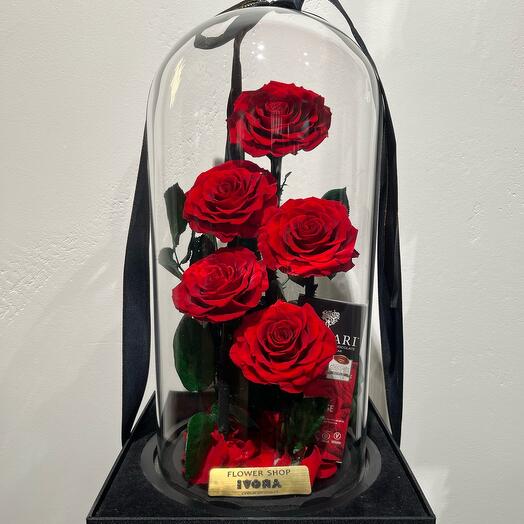 Great roses with chocolate in a glass dome