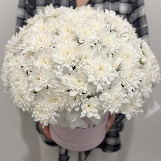 Chrysanthemums in a box