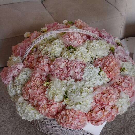 Basket Of 70 Hydrangeas