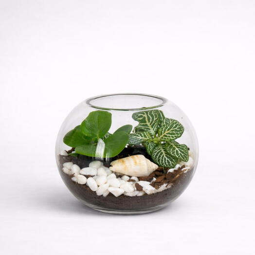 Florarium M white
