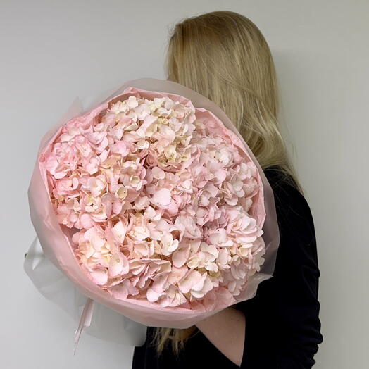 Pink hydrangeas, 5 stems