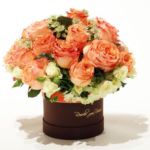 Rosolo_box / peach and white roses