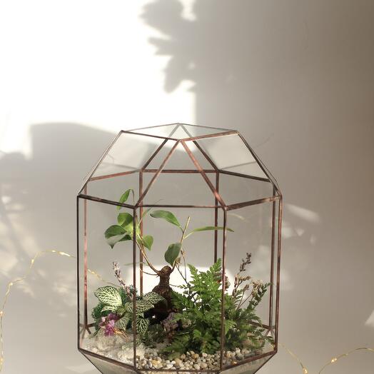 Florarium  Shantaram