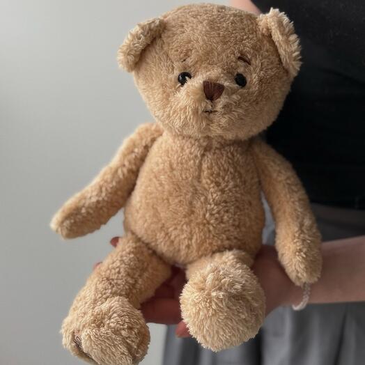 Bukowski «small light brown teddy»