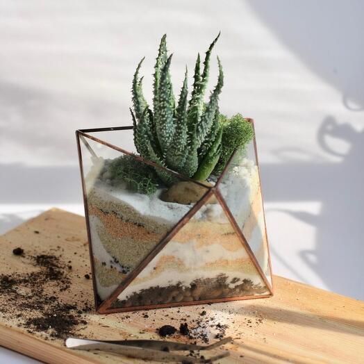 Florarium "Octahedron"