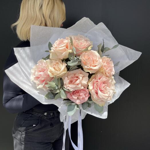 French roses 9 pink mondial