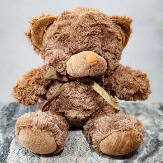 Teddy bear funny 🐻