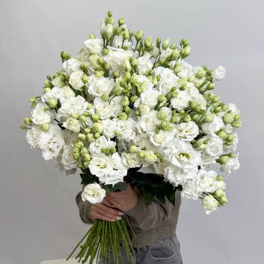 81 Lisianthus | 81 эустома
