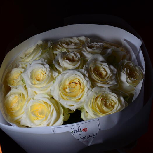 🤍 Ақ жібек